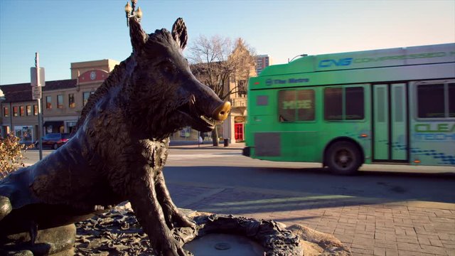 Plaza Bronze Boar