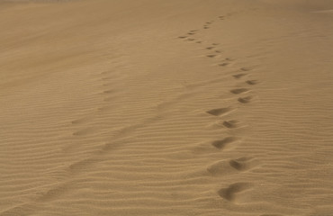 Gran Canaria dunes - Maspalomas sand desert landscape. 