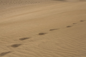 Gran Canaria dunes - Maspalomas sand desert landscape. 