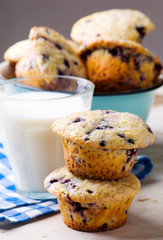 blueberry and lemon  muffins