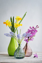 Obraz premium Spring flowers daffodils, hyacinth and muscari