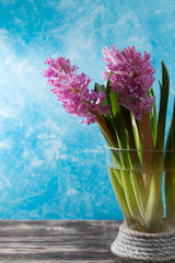 Bright pink hyachinths flowers bouquet in a yellow glass vase, Easter and spring concept