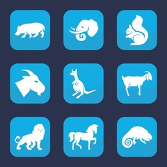 Set of 9 filled wild icons