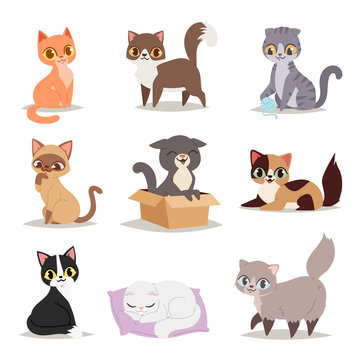 Cute Cats Character Different Pose Vector