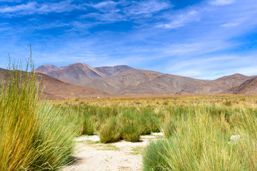 Salta. Argentina. Landscape from passover