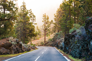 Road in clouds on Teide mountains in Tenerife, Canary Islands