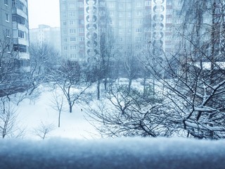 winter through the window