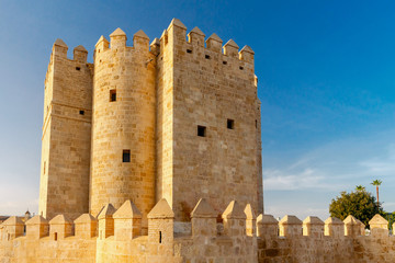 Cordoba. Calahorra Tower.
