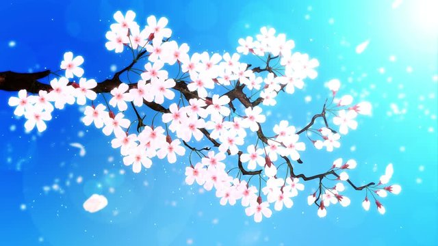 満開になる桜の花びら 青