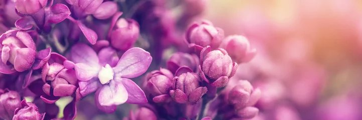 Gordijnen Lila bloemen achtergrond © Mariusz Blach
