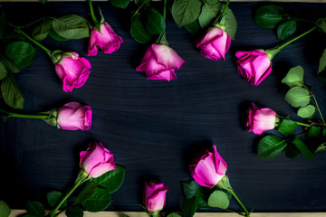 woman day and love roses background 
