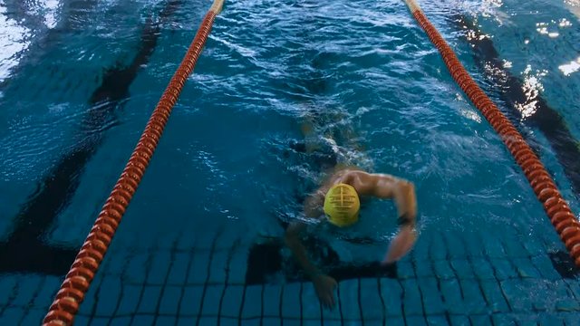 Muscular swimmer warming up and swim in the pool crawl distance training. view from above.