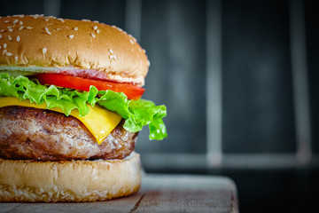 Tasty grilled beef Burger