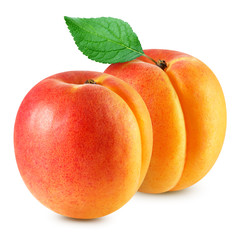 Fototapeta na wymiar apricot fruits isolated