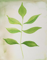 green hand painted leaf - watercolor on textured paper