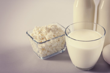 Different dairy products on light background