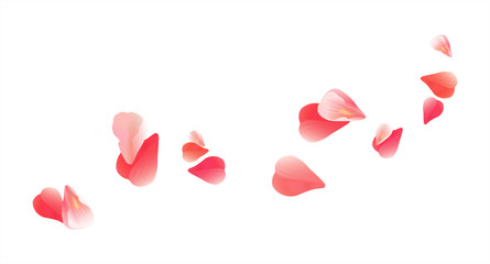 Pink Red flying petals isolated on white. Sakura Roses petals. Vector 
