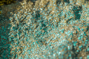 Sea Stone