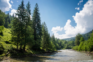 fast river in the Carpathian mountains