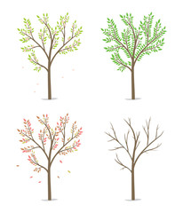 Four season with tree - spring, summer, autumn and winter