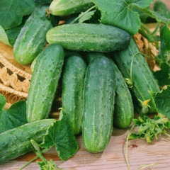Harvest of cucumbers on old timber