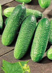 Three cucumbers on old timber
