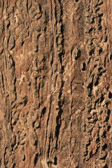 sandstone background