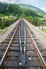 Fototapeta na wymiar Railway in the Carpathian Mountains in Ukraine