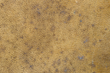 leather background