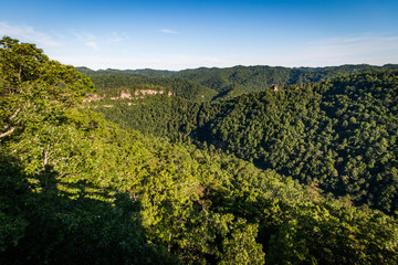 Fototapeta na wymiar Appalachian Forest