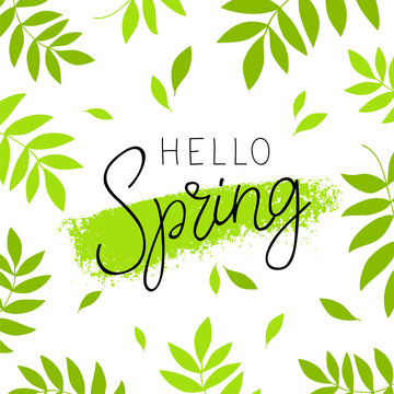 Hello spring. Calligraphy and lettering
