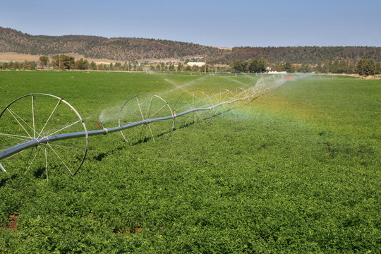 Wheel Line Irrigation System