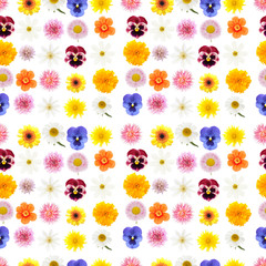 colorful floral seamless pattern