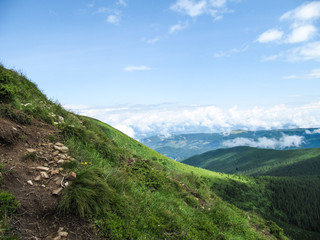Fototapeta premium Carpathian mountain landscape summer in Ukraine on Hoverla hike