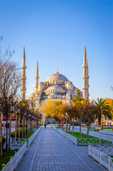 Obraz premium The Blue Mosque, (Sultanahmet Camii), Istanbul, Turkey.