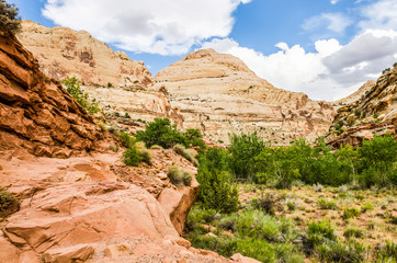 Red rock canyons in Capitol Reef National Park in Utah, USA