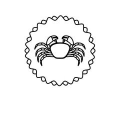 monochrome line contour with crab in circular emblem vector illustration