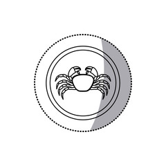 sticker monochrome line contour with crab in circular frame vector illustration