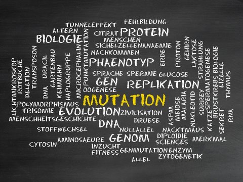 Mutation
