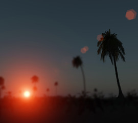 3d three-dimensional, palm trees at sunset
