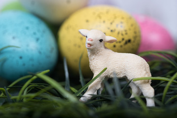 Small lamb next to large decoarted Easter Eggs