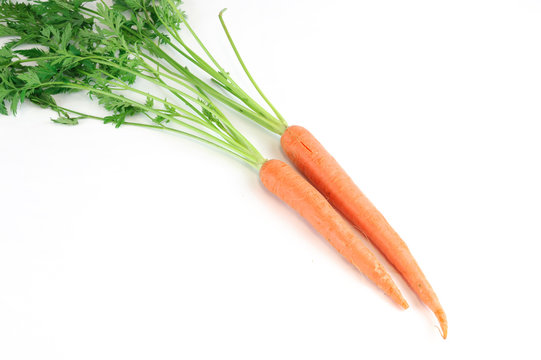 fresh carrot with leaves isolated on white background
