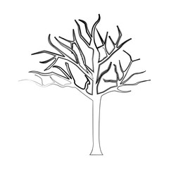 silhouette bare oak tree icon, vector illustraction design image