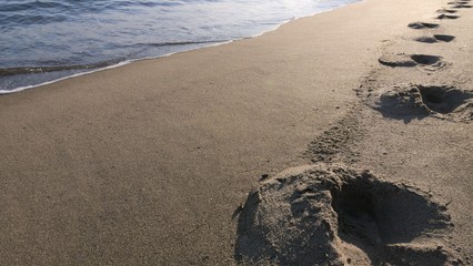 波打ち際の足跡