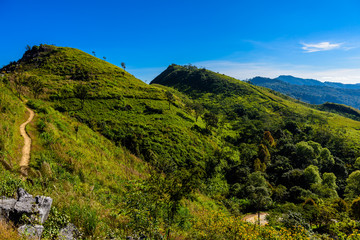 Doi Pha Tang viewpoint ,Chiang Rai province in Thailand.  beautiful location