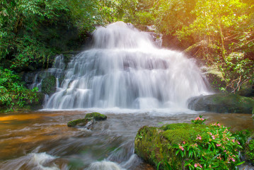 Fototapeta na wymiar beautiful waterfall in rainforest at phu tub berk mountain phetchabun, Thailand (Mun Dang waterfalls)