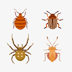Insect icon flat isolated nature flying bug beetle ant and wildlife spider grasshopper or mosquito cockroach animal biology graphic vector illustration.