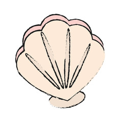sea shell icon image vector illustration design 