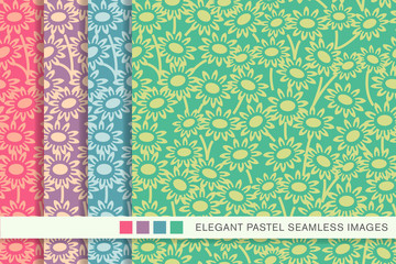 Seamless pastel background set garden daisy flower