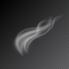 Smoke realistic isolated vector illustration on transparent background